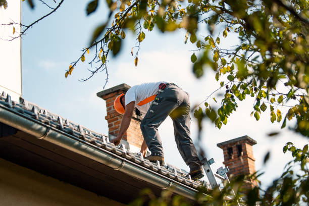 Quick and Trustworthy Emergency Roof Repair Services in St Clair Shores, MI