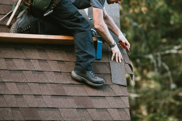 Best Roof Restoration Services  in St Clair Shores, MI
